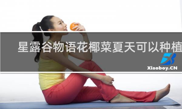 星露谷物语花椰菜夏天可以种植吗