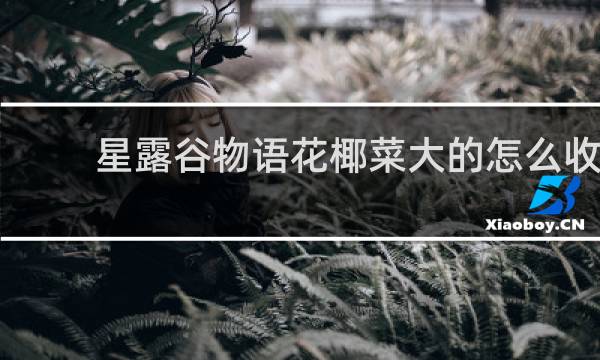 星露谷物语花椰菜大的怎么收