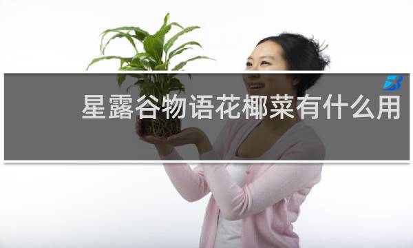 星露谷物语花椰菜有什么用