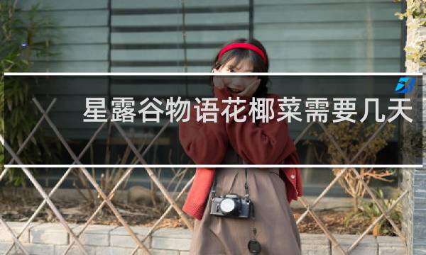 星露谷物语花椰菜需要几天