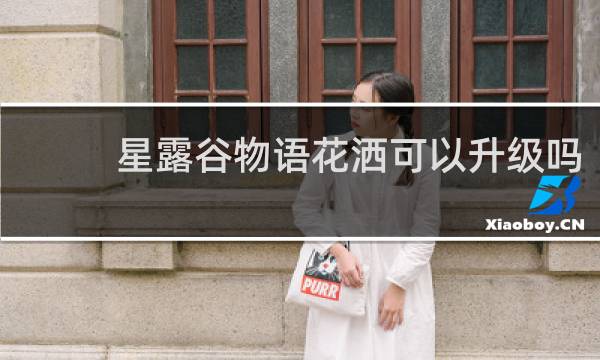 星露谷物语花洒可以升级吗
