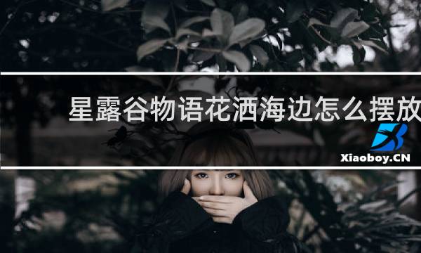 星露谷物语花洒海边怎么摆放