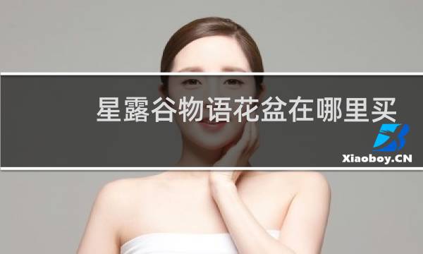 星露谷物语花盆在哪里买