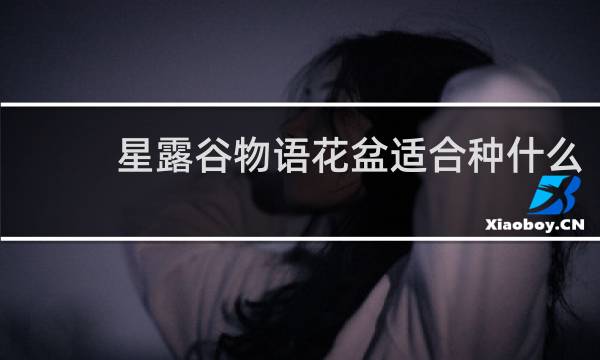 星露谷物语花盆适合种什么