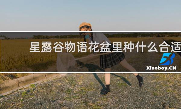 星露谷物语花盆里种什么合适