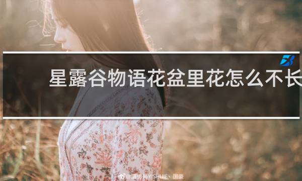 星露谷物语花盆里花怎么不长