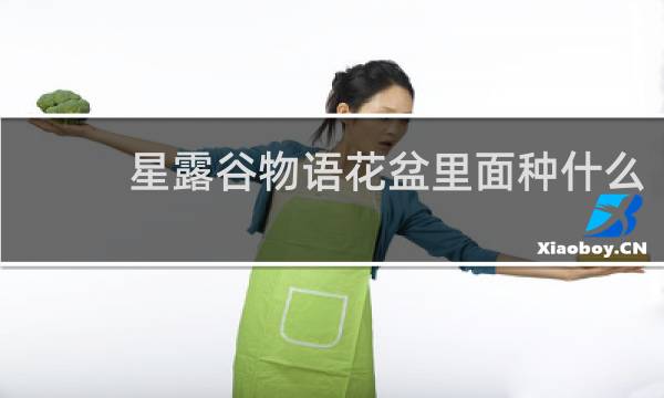 星露谷物语花盆里面种什么