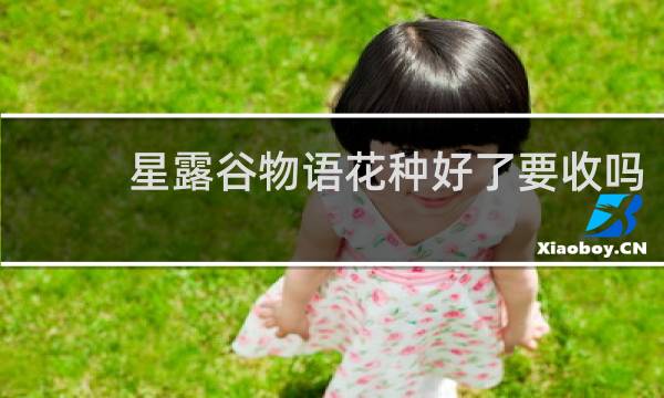 星露谷物语花种好了要收吗