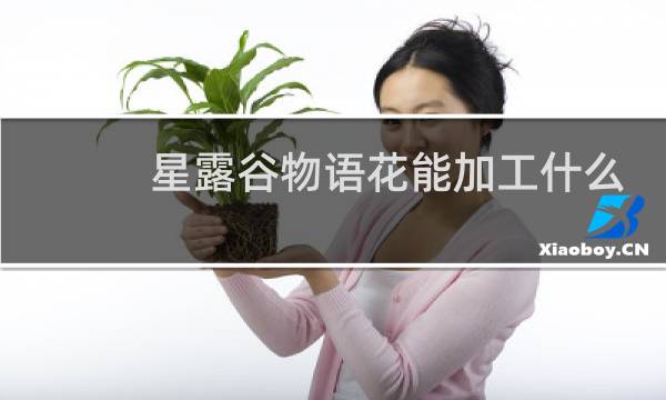 星露谷物语花能加工什么