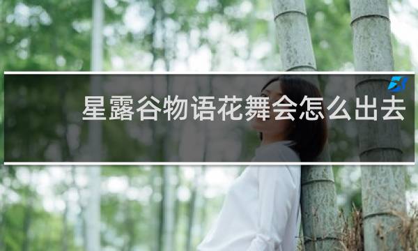 星露谷物语花舞会怎么出去