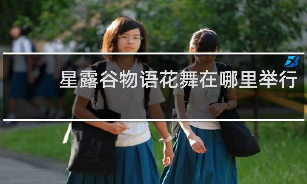 星露谷物语花舞在哪里举行