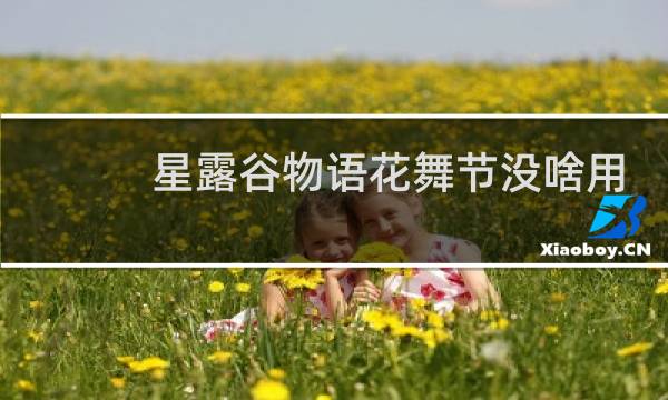 星露谷物语花舞节没啥用
