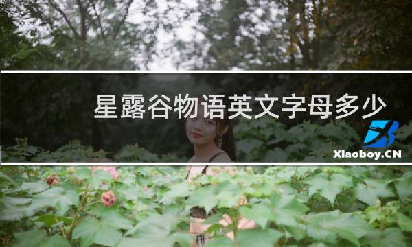 星露谷物语英文字母多少