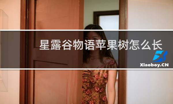 星露谷物语苹果树怎么长