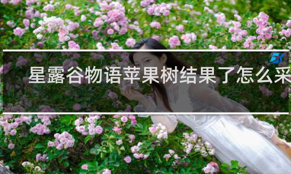 星露谷物语苹果树结果了怎么采集