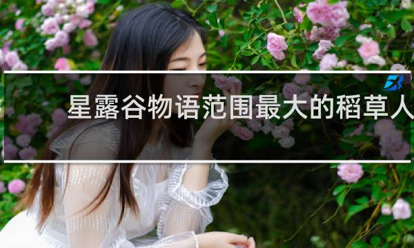 星露谷物语范围最大的稻草人