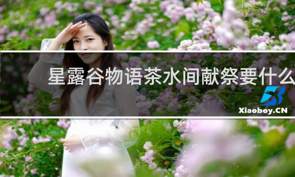 星露谷物语茶水间献祭要什么