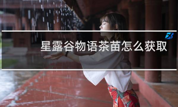 星露谷物语茶苗怎么获取