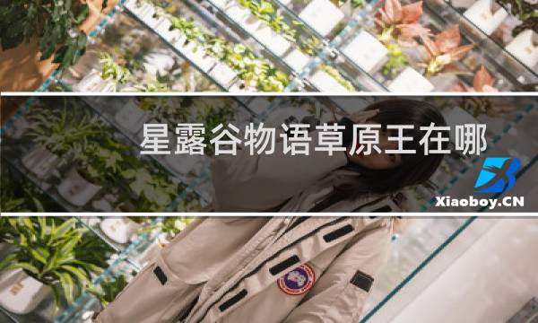 星露谷物语草原王在哪