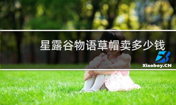 星露谷物语草帽卖多少钱