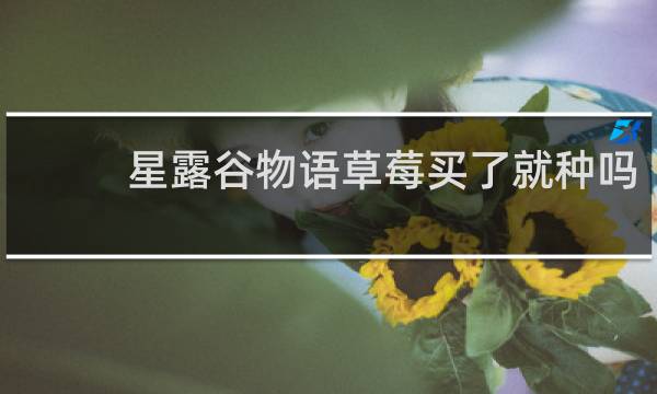 星露谷物语草莓买了就种吗