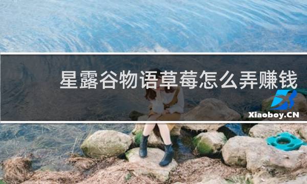 星露谷物语草莓怎么弄赚钱