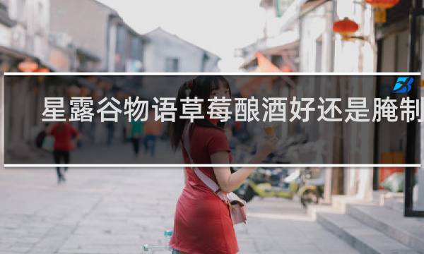 星露谷物语草莓酿酒好还是腌制好
