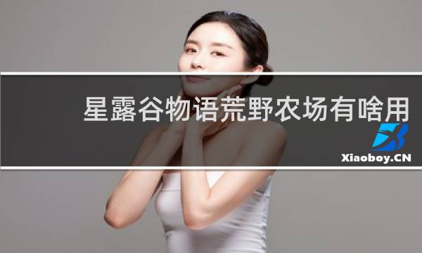 星露谷物语荒野农场有啥用