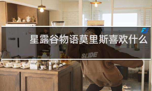 星露谷物语莫里斯喜欢什么