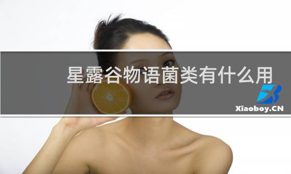 星露谷物语菌类有什么用