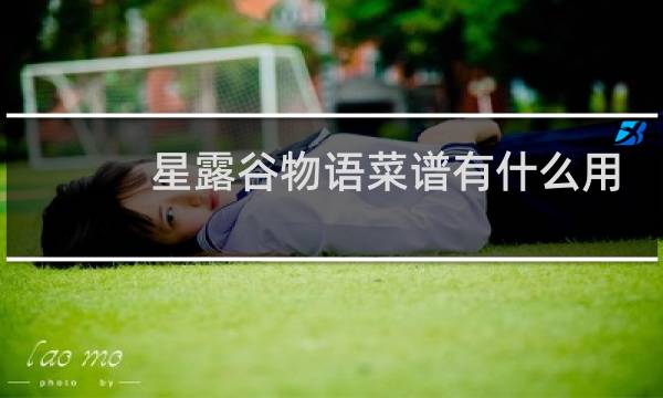 星露谷物语菜谱有什么用