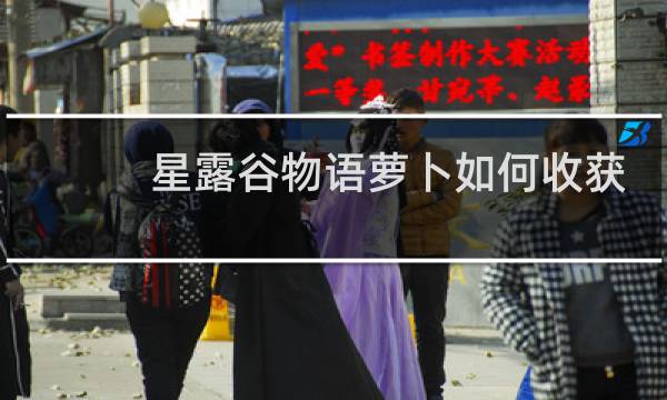 星露谷物语萝卜如何收获