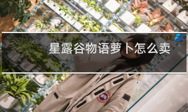 星露谷物语萝卜怎么卖
