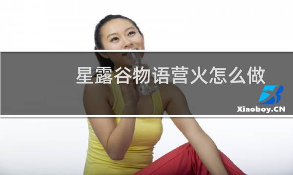 星露谷物语营火怎么做