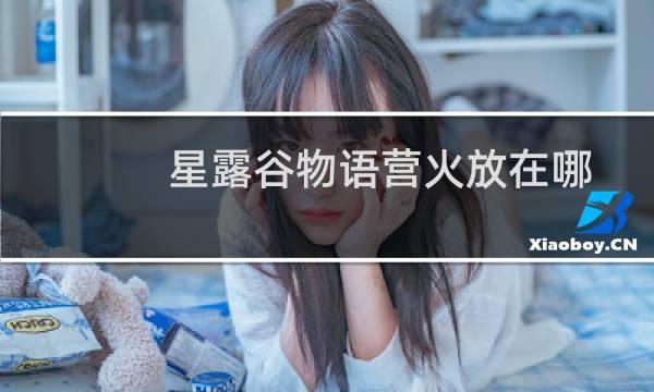 星露谷物语营火放在哪