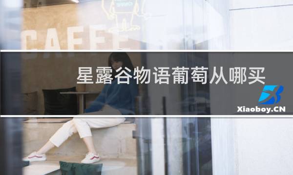 星露谷物语葡萄从哪买