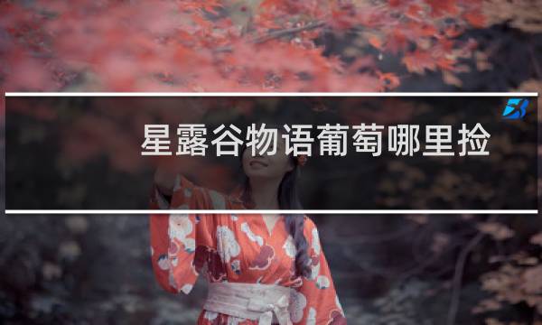 星露谷物语葡萄哪里捡