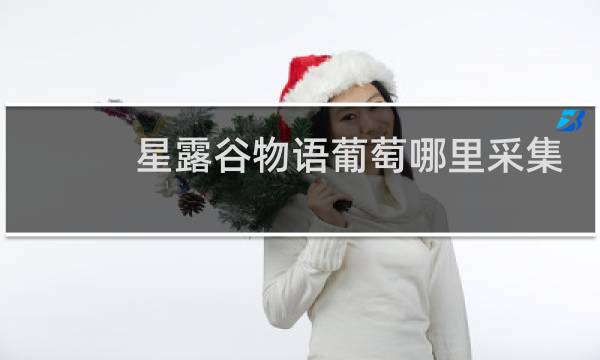 星露谷物语葡萄哪里采集