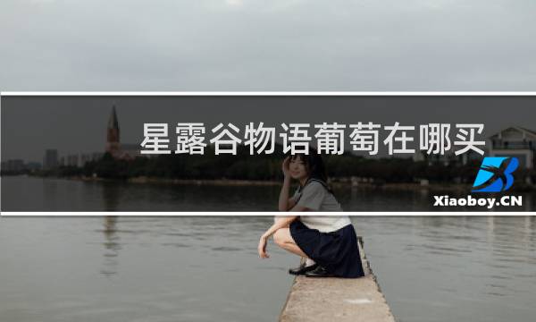星露谷物语葡萄在哪买