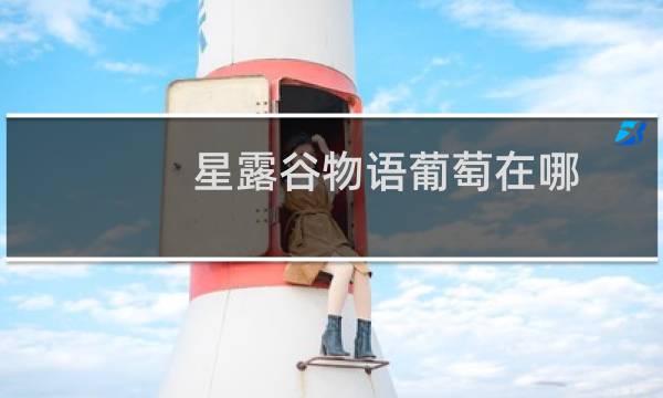 星露谷物语葡萄在哪