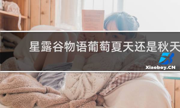 星露谷物语葡萄夏天还是秋天
