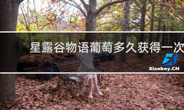 星露谷物语葡萄多久获得一次
