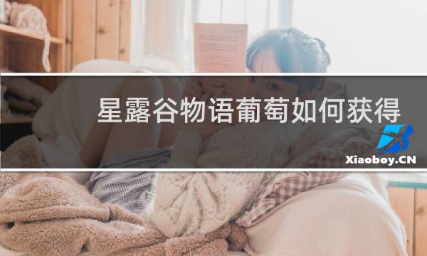 星露谷物语葡萄如何获得