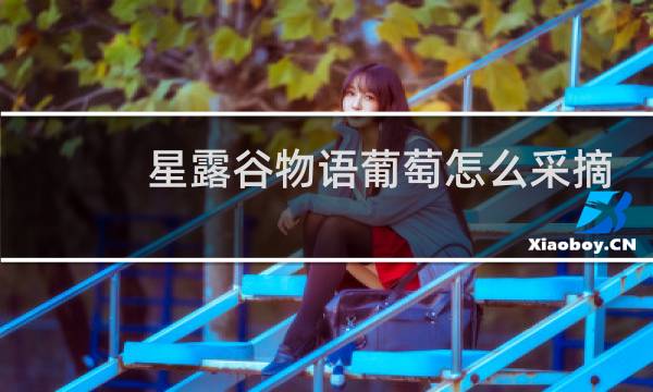 星露谷物语葡萄怎么采摘