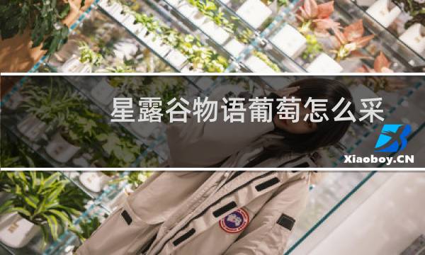 星露谷物语葡萄怎么采