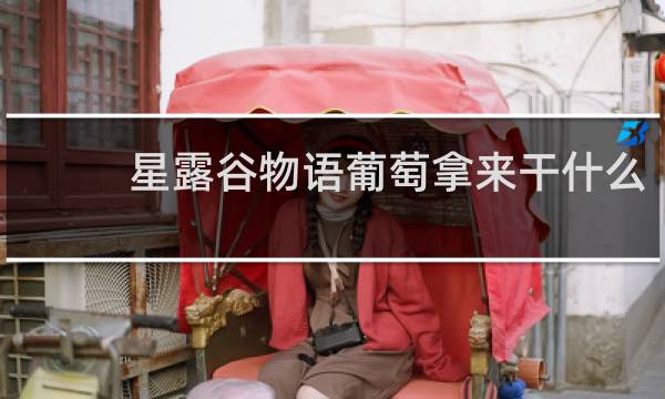 星露谷物语葡萄拿来干什么