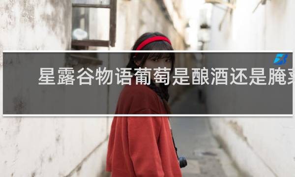 星露谷物语葡萄是酿酒还是腌菜