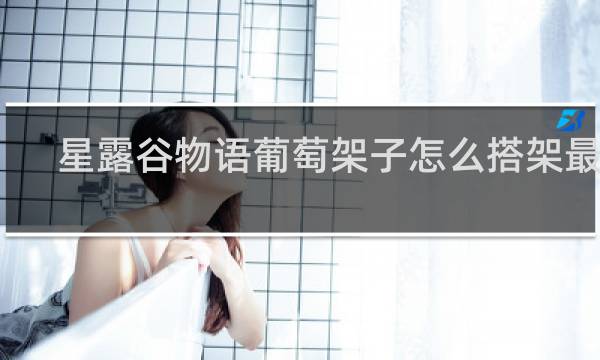 星露谷物语葡萄架子怎么搭架最好