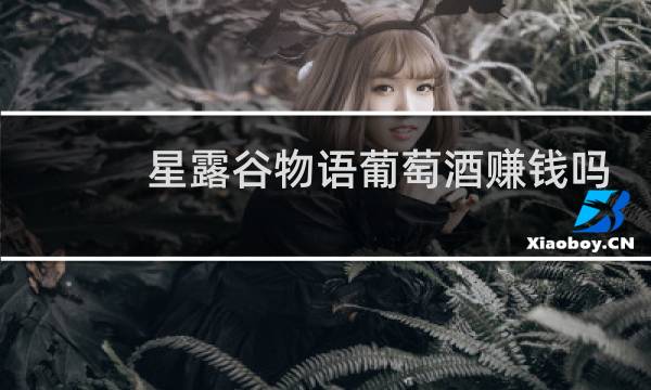 星露谷物语葡萄酒赚钱吗