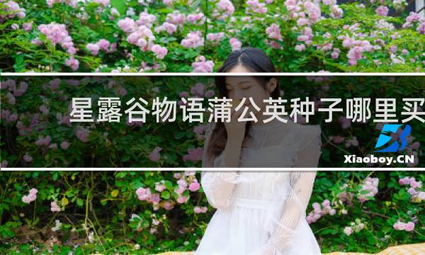 星露谷物语蒲公英种子哪里买